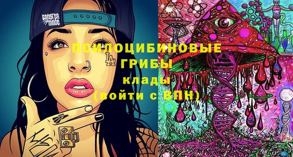 дмт Костерёво