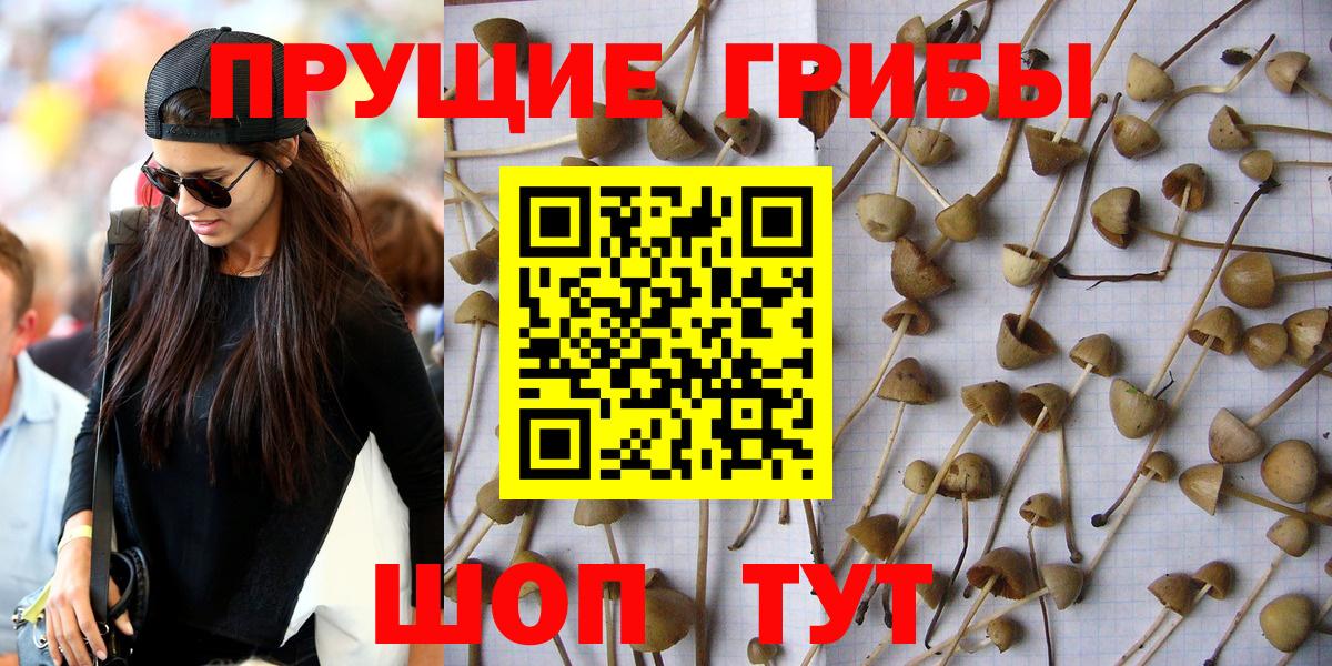 Михайловка  Галлюциногенные грибы мухоморы  Вход с VPN 