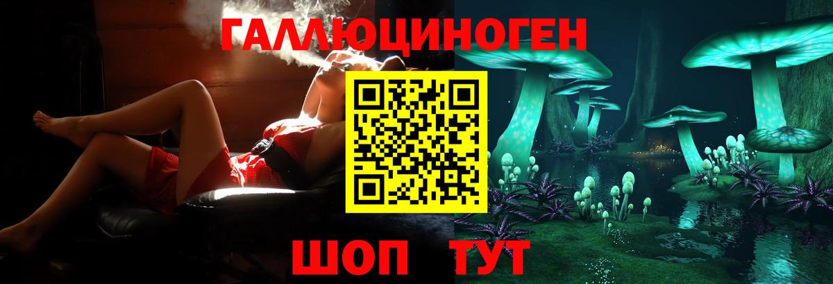 Галлюциногенные грибы Psilocybine cubensis Михайловка